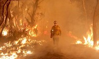 Hàng ngày lính cứu hỏa đang được triển khai để đối với phó tình trạng cháy rừng nghiêm trọng ở Úc. (Ảnh: BBC)