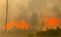 Hơn 240 vụ cháy rừng xảy ra ở tỉnh British Columbia của Canada trong mùa hè này. (Ảnh: CBS)