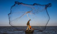 Một ngư dân quăng lưới đánh bắt ở tỉnh Giang Tô, Trung Quốc. (Ảnh: Xinhua)