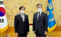 Bộ trưởng Ngoại giao Bùi Thanh Sơn trong cuộc gặp Tổng thống Hàn Quốc Moon Jae-in. (Ảnh: Phủ tổng thống Hàn Quốc)