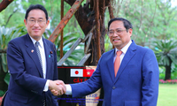 Thủ tướng Phạm Minh Chính và Thủ tướng Nhật Kishida Fumio trồng cây đa lưu niệm. (Ảnh: Trọng Tài)