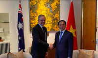Bộ trưởng Bùi Thanh Sơn trong cuộc gặp Thủ tướng Úc Anthony Albanese. (Ảnh: Mofa)