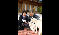 Vợ chồng cựu Tổng thống Hàn Quốc Moon Jae-in chơi với những chú chó con được cặp chó từ Triều Tiên sinh ra