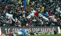 Khán giả ném hàng loạt thú nhồi bông xuống sân vận động khi trận đấu giữa 2 đội tuyển Thổ Nhĩ Kỳ đang diễn ra