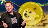 Elon Musk nhiều lần đăng tweet về đồng Dogecoin