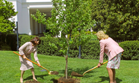 Hai đệ nhất phu nhân Mỹ - Nhật Bản cùng trồng cây anh đào trong khuôn viên Nhà Trắng ngày 17/4. (Ảnh: Kyodo)