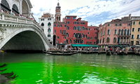 Vệt nước màu xanh lá trên kênh đào Grand ở Venice. (Ảnh: AP)
