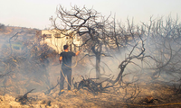 Tình hình cháy rừng nghiêm trọng ở đảo Rhodes khiến hàng vạn du khách và người dân phải tháo chạy. (Ảnh: Reuters)