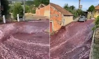 Dòng rượu vang đỏ đổ tràn trên con đường ở ngôi làng của Bồ Đào Nha. (ảnh từ clip)