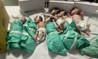 Những em bé sinh non trong bệnh viên Al Shifa. (Ảnh: Reuters)
