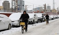 Tuyết phủ trắng những chiếc xe đậu dọc một con đường ở thủ đô Bắc Kinh, Trung Quốc, ngày 15/12. (Ảnh: Reuters)