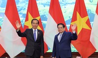 Thủ tướng Phạm Minh Chính hội kiến Tổng thống Indonesia Joko Widodo