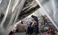 Người dân Palestine sống trong lều tạm ở Dải Gaza ngày 1/1. (Ảnh: AP)