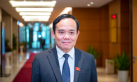 Phó Thủ tướng Trần Lưu Quang. (Ảnh: NLĐ)