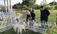 Ông Kim tặng Tổng thống Putin cặp chó săn Pungsan. (Ảnh: KCNA)