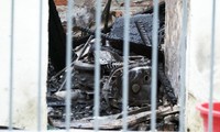 Hé lộ nguyên nhân vụ cháy nhà trọ khiến 3 người tử vong ở Hà Nội