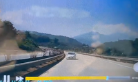 Nữ tài xế đi ngược chiều trên cao tốc Nội Bài - Lào Cai bị phạt 17 triệu đồng