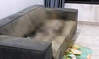 Phát hiện thi thể cô gái đã khô trên sofa trong căn hộ chung cư cao cấp