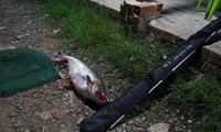 Kiểm tra hồ câu ở Tây Ninh, bắt quả tang 84 người cá cược câu cá ăn tiền
