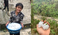 Mưa đá lớn xảy ra tại nhiều xã miền núi Nghệ An
