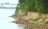 Sạt lở bờ sông Lam, mỗi năm &apos;nuốt chửng&apos; cả nghìn mét vuông đất