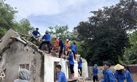 Tuổi trẻ Nghệ An giúp lực lượng thi công đường điện 500kV