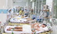 TPHCM: 29 người chết vì sốt xuất huyết, 113 ổ dịch trong cộng đồng