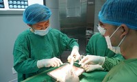 Việt Nam đang lãng phí nguồn tạng từ người chết não