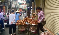 30.000 đồng một kg vải thiều ở Hà Nội 