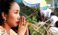 Sao Việt đau lòng lên tiếng sau vụ cây đổ khiến học sinh tử vong
