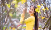 Nhan sắc Hoa khôi xứ Quảng dự thi Hoa hậu Việt Nam 2020