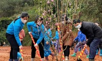 Tỉnh Đoàn Lạng Sơn và lãnh đạo sở, ngành địa phương trồng 600 cây đào, cây hồi tại xã Thanh Long, huyện Cao Lộc, Lạng Sơn -Ảnh: Duy Chiến 