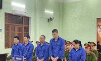 Các bị cáo ra tòa lĩnh án. 