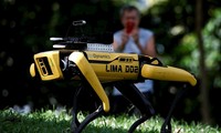 Chú chó robot SPOT được triển khai tại công viên Singapore từ 8/5. Ảnh: Reuters 