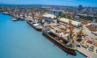 Phát triển cảng Trần Đề thành cảng đặc biệt và cửa ngõ của vùng ĐBSCL