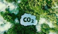 Lộ trình để Việt Nam bán tín chỉ carbon ra thế giới 