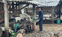 Hiệu quả từ các chính sách giảm nghèo ở Nghệ An