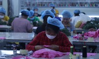 Hơn 1.200 công nhân ở Nghệ An mất việc làm dịp cuối năm