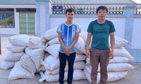 Phó Thủ tướng gửi Thư khen vụ bắt hơn 4,5 tấn gỗ trắc và vảy tê tê