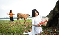 Hoa gạo ‘bung lụa’ đỏ rực làng quê, bạn trẻ thích thú lưu giữ khoảnh khắc