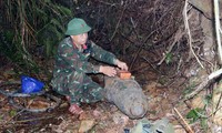 Nghệ An: Đi đánh cá phát hiện bom khủng trên sông Lam
