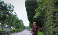 Độc đáo những cổng nhà, hàng rào làm bằng cây xanh trăm tuổi ở làng quê Hà Tĩnh