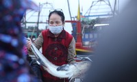 Cảng cá lớn nhất Hà Tĩnh trúng đậm ngày cuối năm