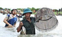 Ngàn người ở Hà Tĩnh &apos;đội nắng&apos; vác nơm, lưới xuống đầm bắt cá cầu may