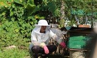 Nuôi ong lấy mật giúp nông dân miền núi thoát nghèo