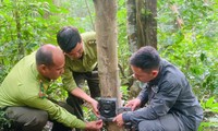 Bảo vệ động vật hoang dã trên dãy Trường Sơn: Xuyên rừng tìm dấu chân thú