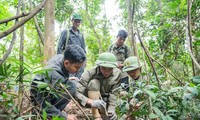 Bảo vệ động vật hoang dã trên dãy Trường Sơn: &apos;Biệt đội&apos; giải cứu thú rừng