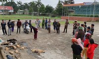 Người dân vây bắt 2 anh em ném bả đầu độc hàng loạt chó mèo