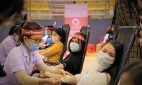 Chủ nhật Đỏ Hà Tĩnh tiếp nhận 486 đơn vị máu