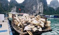 Rác phao xốp tràn lan trên vịnh Hạ Long: Cục Di sản văn hóa yêu cầu báo cáo